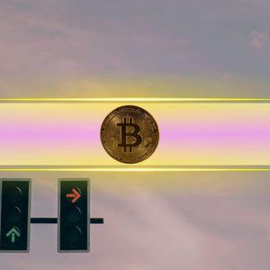 Is the Bitcoin Rally Cooling Down? Altcoin Seasons Starts Brewing (Analysis)