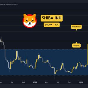 Is the SHIB Bull Run in Danger Following 250% Monthly Gains? (Shiba Inu Price Analysis)