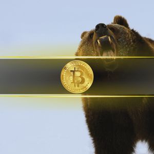 Will Bitcoin Enter The Danger Zone as Fed Rate Decision Looms ?