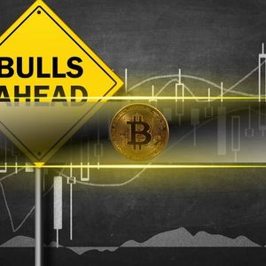 Bitcoin’s 15% Correction Propelled by Profit-Taking but Bull Cycle Is Far From Over: CryptoQuant