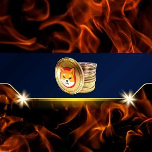 Massive Increase in Shiba Inu Burn Rate as SHIB Bull Run Accelerated in March