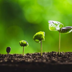 CEX Trading Volumes Nearly Triple Since October 2023: Bybit