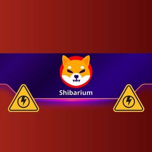 Shibarium Experiences a Temporary Outage But SHIB Prices Unfazed