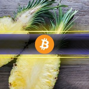 Bitcoin Layer 2 Tokens Outperform BTC Post-Halving