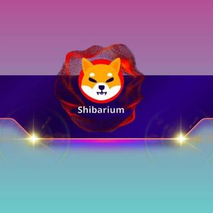 Big News for Shiba Inu (SHIB): Team Member Posts Shibarium Roadmap Hints