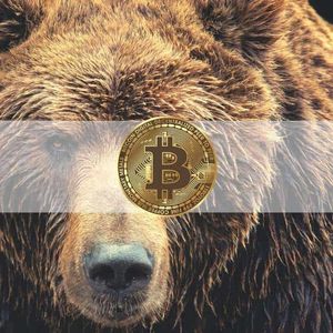 The Bitcoin Bear Market May Have Already Started, Signal Shows