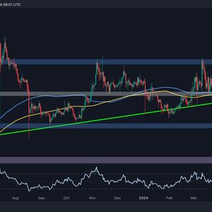 As Ripple v. SEC Trial Rages on, the XRP Price Continues Crashing: How Low Can it Go?