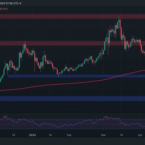 Polkadot Price Analysis: Has DOT Bottomed and is $9 the Next Target?