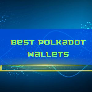 Best Polkadot (DOT) Wallets in 2024: Full Comparison