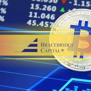 Bracebridge Capital Becomes Largest Spot Bitcoin ETF Holder