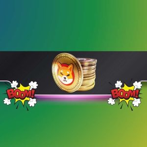Important Shiba Inu Metric Explodes by 2,300% as the SHIB Price Rises: Details