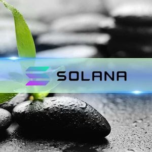 Three Reasons Why Solana’s (SOL) Price Soared Past $160