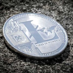 Here’s How Much LTC Litecoin Whales Have Accumulated in The Past 30 Days