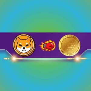Shiba Inu (SHIB) Flips Cardano (ADA) After a 16% Daily Surge