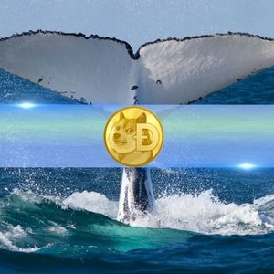 Dogecoin Whales Scoop Up 700 Million DOGE in 72 Hours