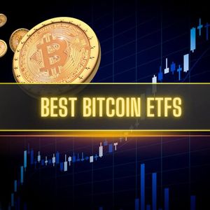 Best Bitcoin ETFs in 2024: Fees, Alternatives, and How to Buy