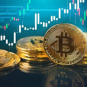 Here’s the Percentage of Top Crypto Assets’ Supply in Profit