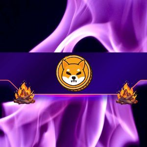 SHIB Price Tanks but This Metric Soars by 2800%