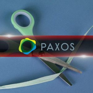 Paxos Reportedly Downsizes Workforce by 20%: Details