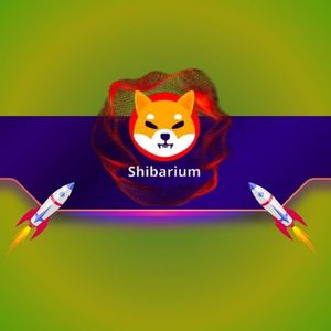 This Shiba Inu (SHIB) Metric Explodes by 860%: Details