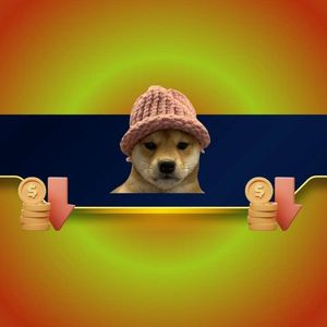 Meme Coin Bloodbath: WIF Crashes to 3-Month Low as Prices Struggle