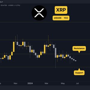 Why is the Ripple (XRP) Price Down Today?