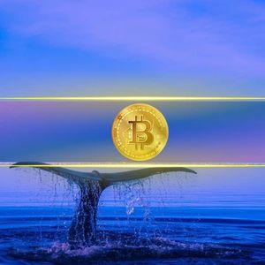Bitcoin Whales Accumulate $436M Worth BTC in a Day Amid Intense FUD: ITB