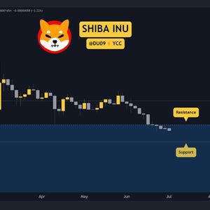Why is the Shiba Inu (SHIB) Price Down Today?