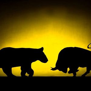 Only Half of Crypto Investors Remain Bullish: CoinGecko Survey