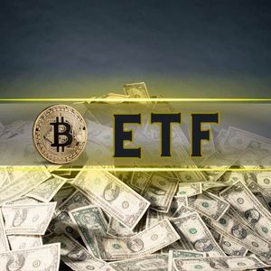 Bitcoin ETFs Saw $300 Million in Daily Net Inflows, No Outflows Recorded