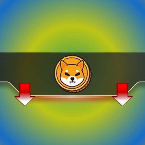 Is SHIB’s Price in Trouble as These Key Shiba Inu Metrics Nosedive?