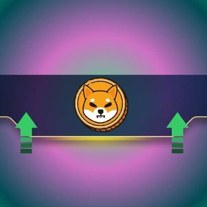 These Shiba Inu Metrics Surge as SHIB’s Price Posts Minor Gains: Details