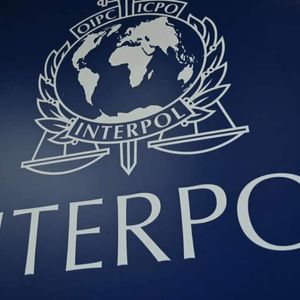 Interpol Issues Red Notice for Hong Kong Crypto Promoter Linked to $384K Scam