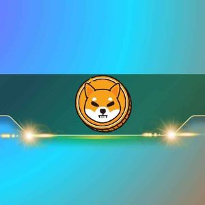 Key Shiba Inu Metrics Skyrocket Today: SHIB Price Rally Incoming?