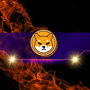 Shiba Inu (SHIB) Sees 60% Monthly Drop in Burn Rate: Reason to Worry?