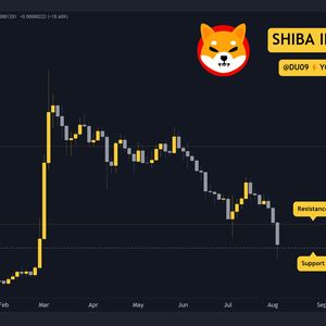 Why is the Shiba Inu (SHIB) Price Down This Week?