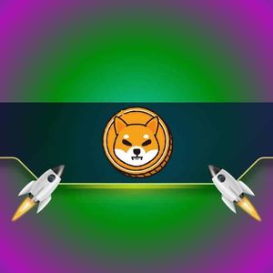 These Shiba Inu Indicators Skyrocket as the SHIB Price Bounces by 20%: Details