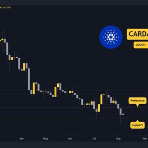 Why is the Cardano (ADA) Price Up Today?