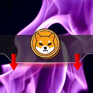 Shiba Inu Burn Rate Plummets by 90%: Is the SHIB Price in Danger?