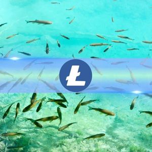 Small Litecoin (LTC) Fishes Are ‘Jumping Ship,’ Here’s What it Means