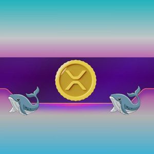 Ripple Whales on the Move: Is XRP Price Rally on the Horizon?