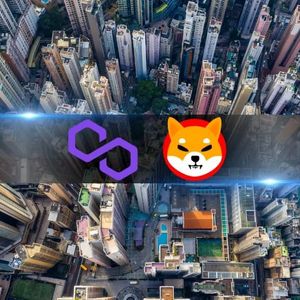 Centralization Threats Loom as Polygon and Shiba Inu Exhibit High Concentration Among Top Wallets