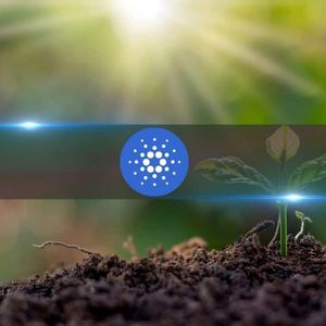 Could ADA Be 2024’s Solana (SOL) After Cardano Chang Upgrade?