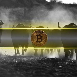 These Factors Suggest Bitcoin’s (BTC) Bull Run Is Just Getting Started: CQ