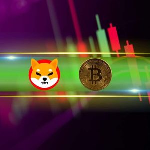 SHIB, PEPE Post Major Daily Gains, BTC Price Recovers From Sub-$63K Dip (Market Watch)