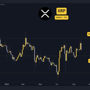 Ripple After the Crash: What’s Next for the XRP Price?