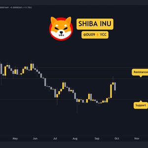 The Reason Behind Shiba Inu (SHIB) Price Plummet Today: Analysis