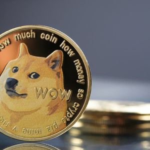 Massive Uptick in Dogecoin (DOGE) Activity Could Signal Investor Bullishness