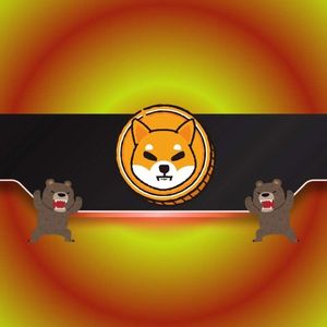 Is Shiba Inu (SHIB) Price About to Plummet? 4 Bearish Signs to Watch
