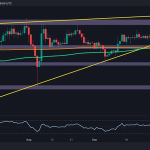 Ripple Price Analysis: Is XRP Headed to $0.5 or $0.6 Next?